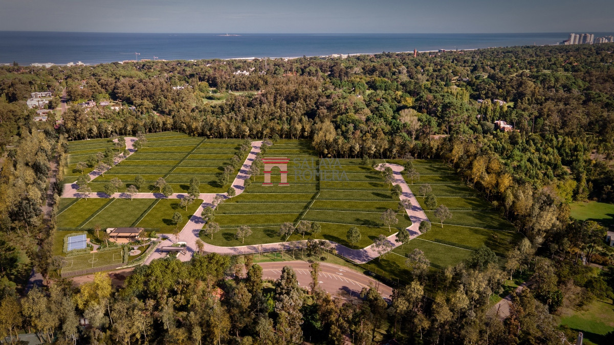Punta del Este - GoPunta - Portal Inmobiliario de Punta del Este - Maldonado