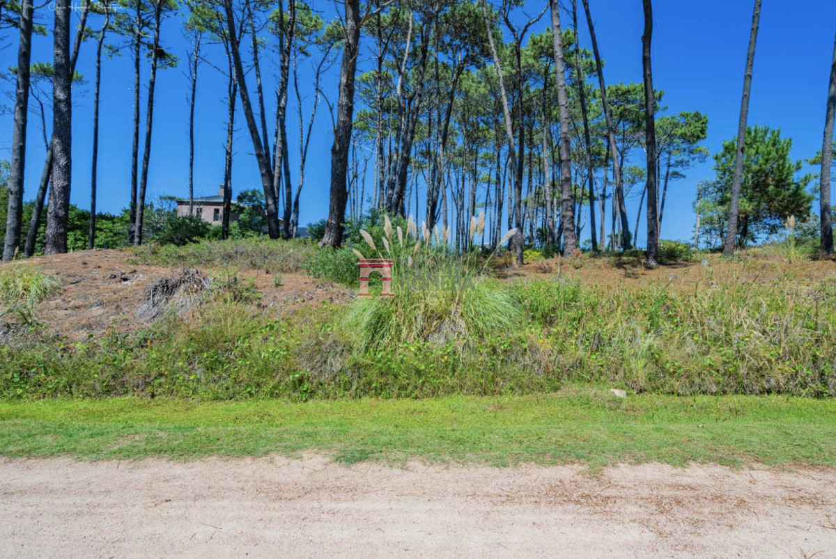 Laguna Blanca - GoPunta - Portal Inmobiliario de Punta del Este - Maldonado