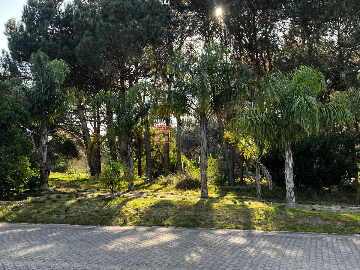 Laguna Escondida - GoPunta - Portal Inmobiliario de Punta del Este - Maldonado
