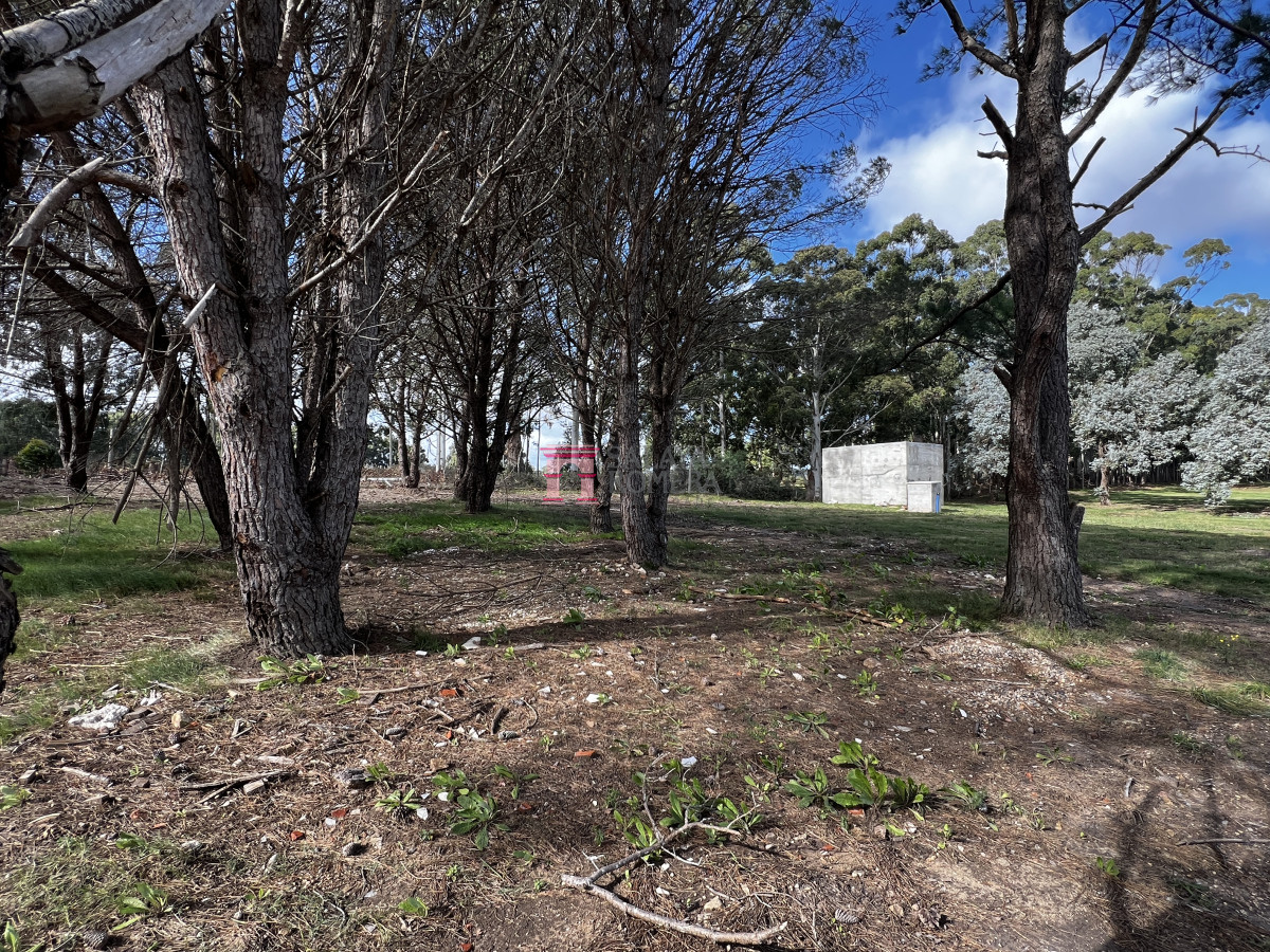 La Barra - GoPunta - Portal Inmobiliario de Punta del Este - Maldonado