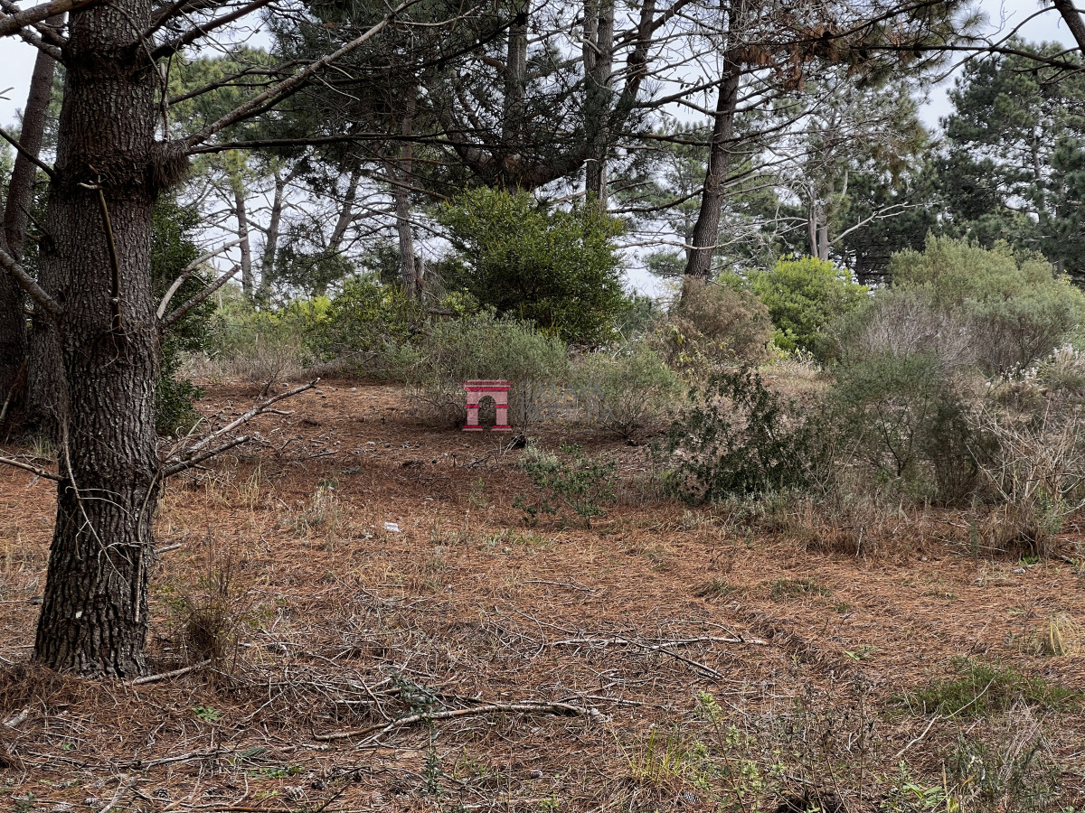 Laguna Escondida - GoPunta - Portal Inmobiliario de Punta del Este - Maldonado