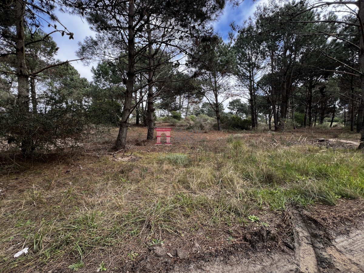 Laguna Escondida - GoPunta - Portal Inmobiliario de Punta del Este - Maldonado