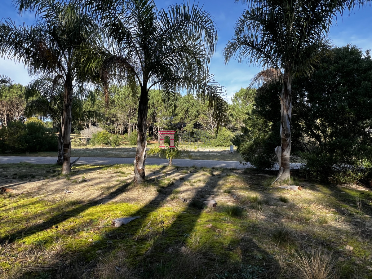 Laguna Escondida - GoPunta - Portal Inmobiliario de Punta del Este - Maldonado