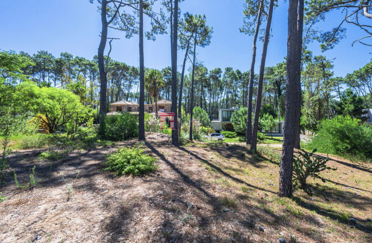 Laguna Blanca - GoPunta - Portal Inmobiliario de Punta del Este - Maldonado
