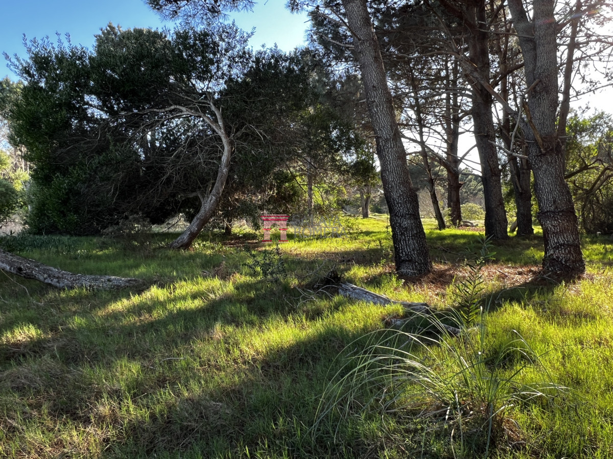 Laguna Escondida - GoPunta - Portal Inmobiliario de Punta del Este - Maldonado