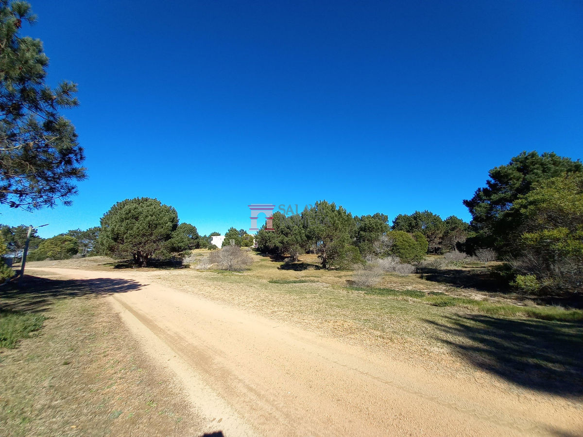 Laguna Escondida - GoPunta - Portal Inmobiliario de Punta del Este - Maldonado