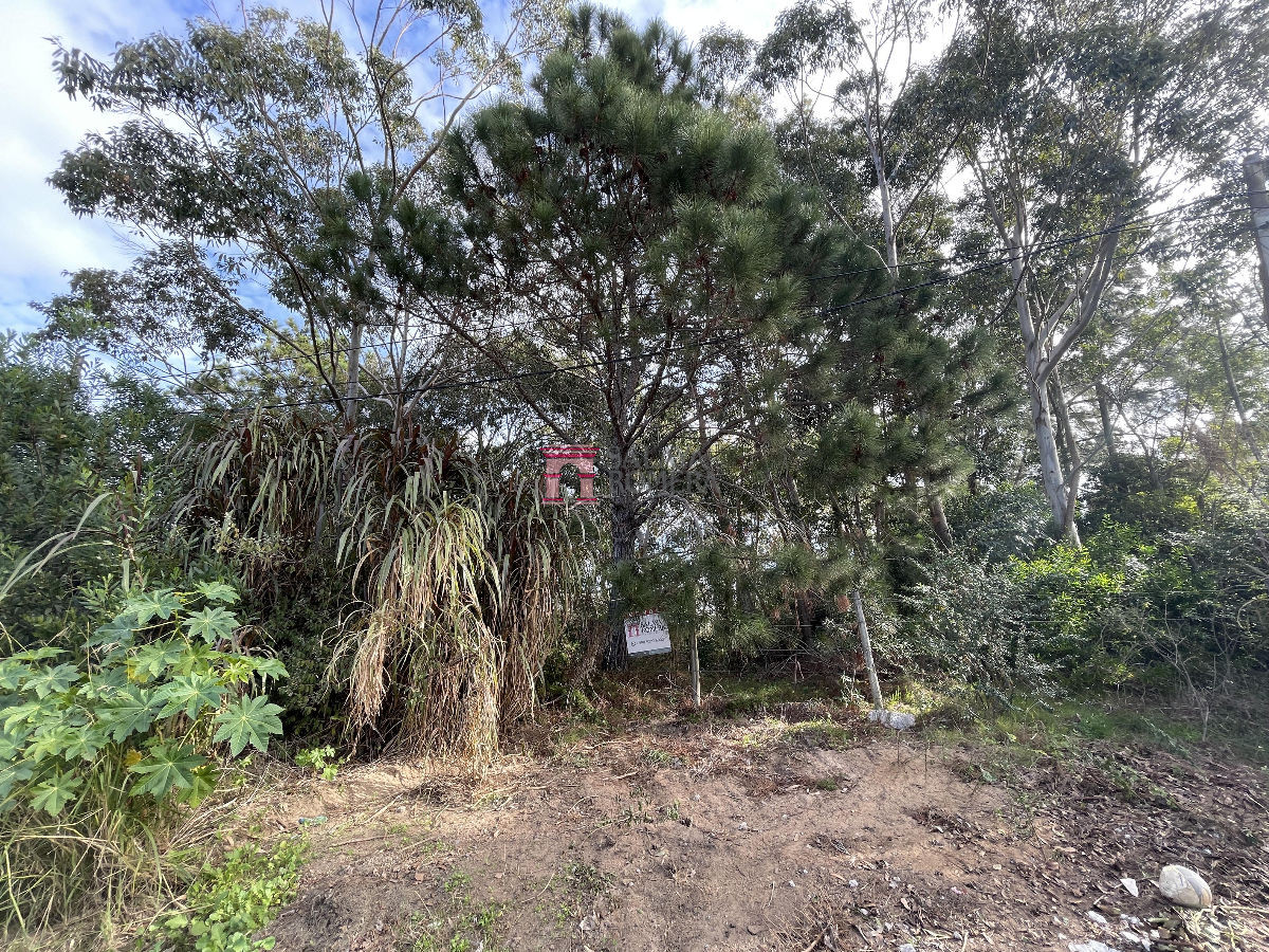 La Barra - GoPunta - Portal Inmobiliario de Punta del Este - Maldonado