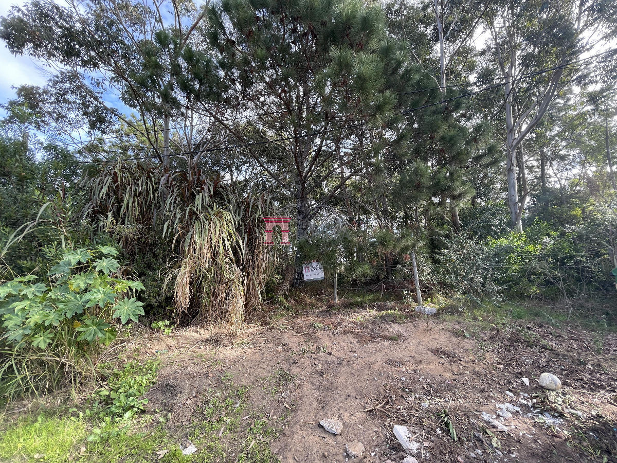 La Barra - GoPunta - Portal Inmobiliario de Punta del Este - Maldonado