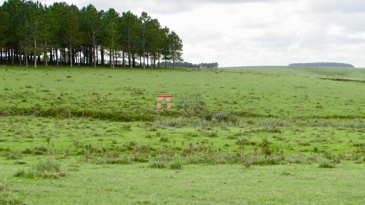 José Ignacio - GoPunta - Portal Inmobiliario de Punta del Este - Maldonado