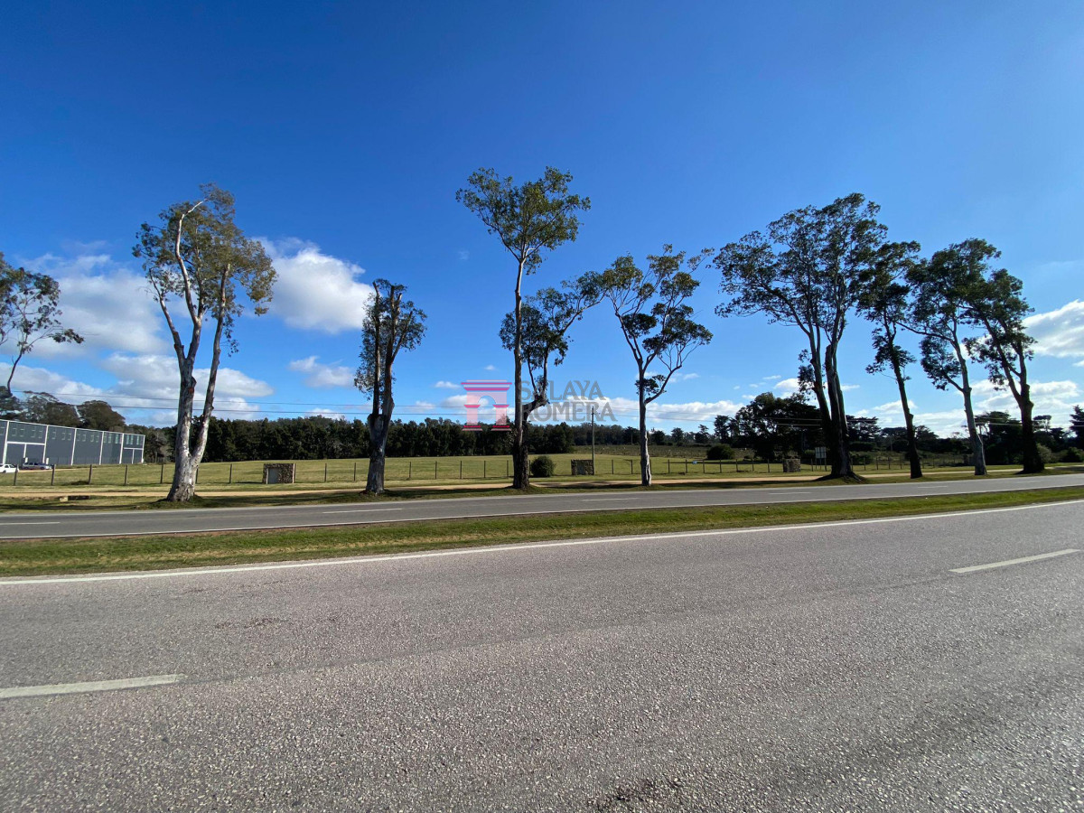 San Carlos - GoPunta - Portal Inmobiliario de Punta del Este - Maldonado