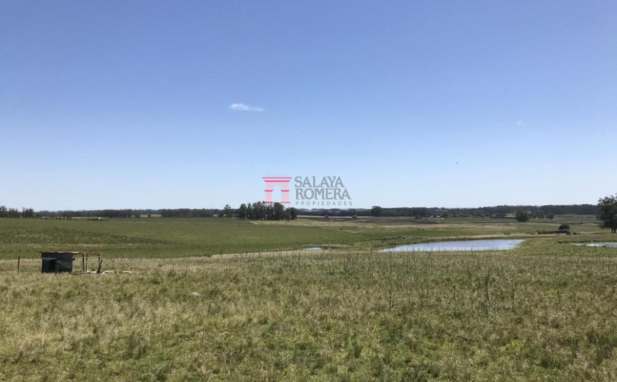 José Ignacio - GoPunta - Portal Inmobiliario de Punta del Este - Maldonado