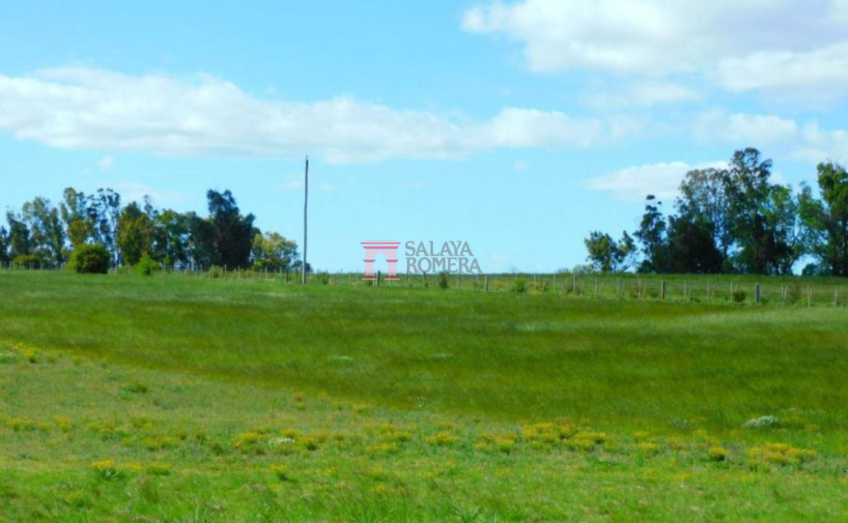 José Ignacio - GoPunta - Portal Inmobiliario de Punta del Este - Maldonado
