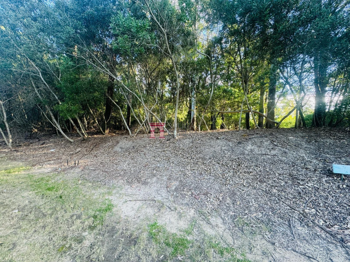 Portezuelo - GoPunta - Portal Inmobiliario de Punta del Este - Maldonado