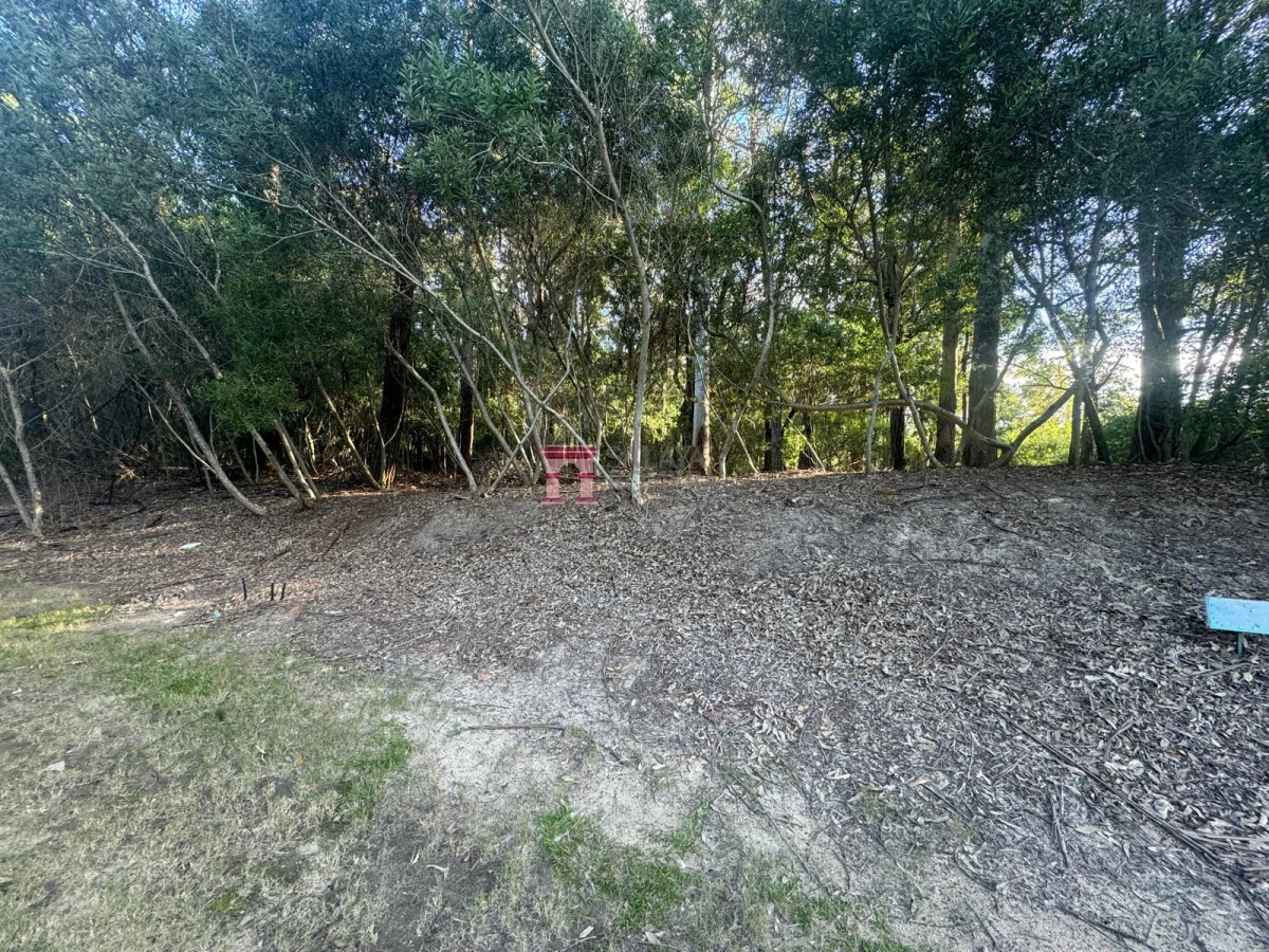 Portezuelo - GoPunta - Portal Inmobiliario de Punta del Este - Maldonado