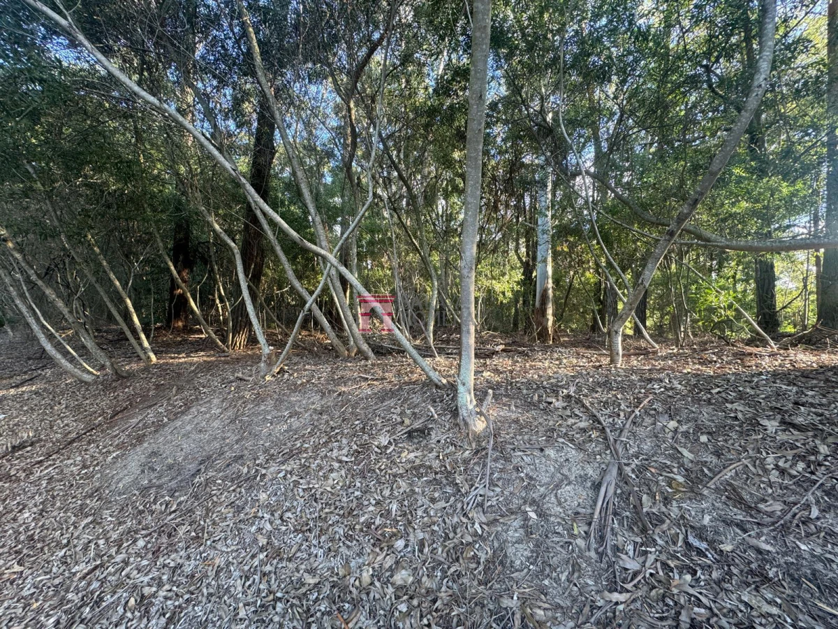 Portezuelo - GoPunta - Portal Inmobiliario de Punta del Este - Maldonado