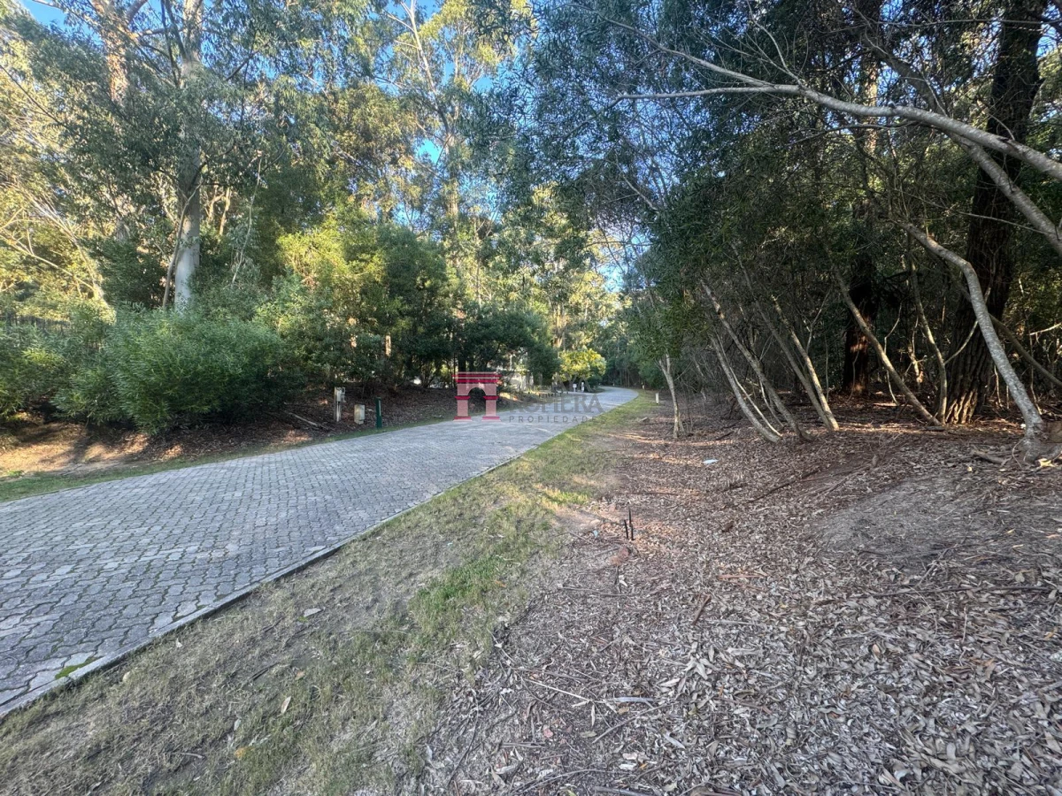 Portezuelo - GoPunta - Portal Inmobiliario de Punta del Este - Maldonado