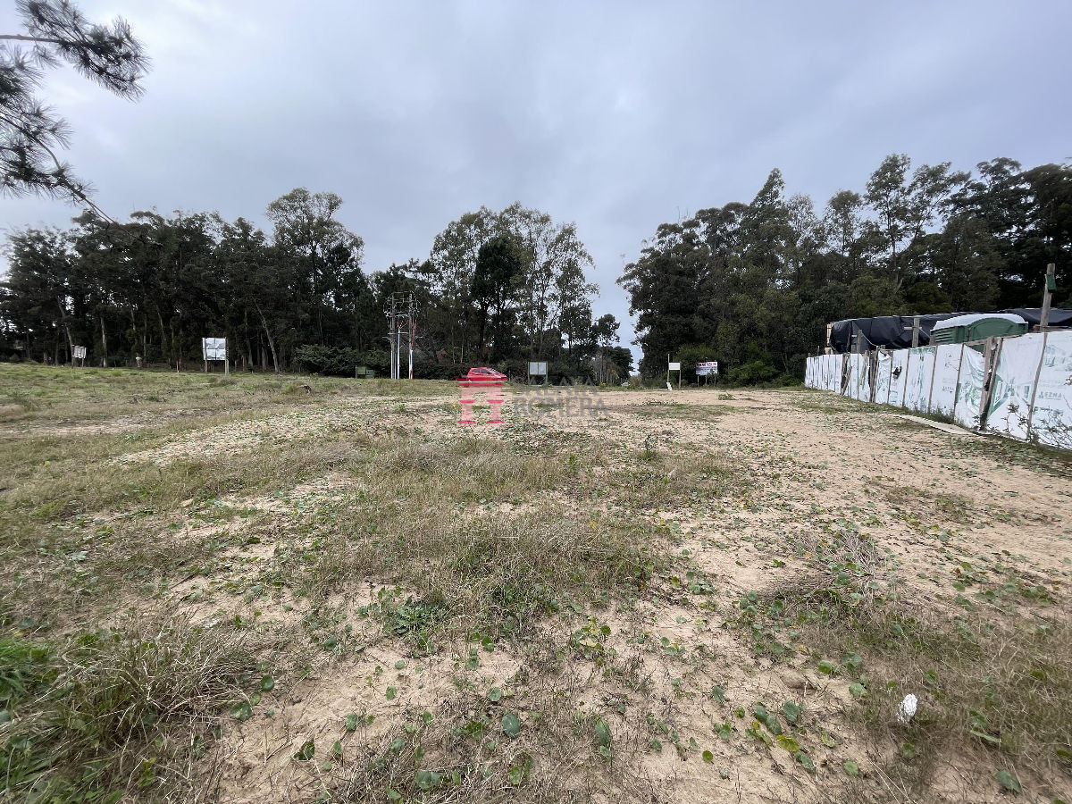 Lausana - GoPunta - Portal Inmobiliario de Punta del Este - Maldonado