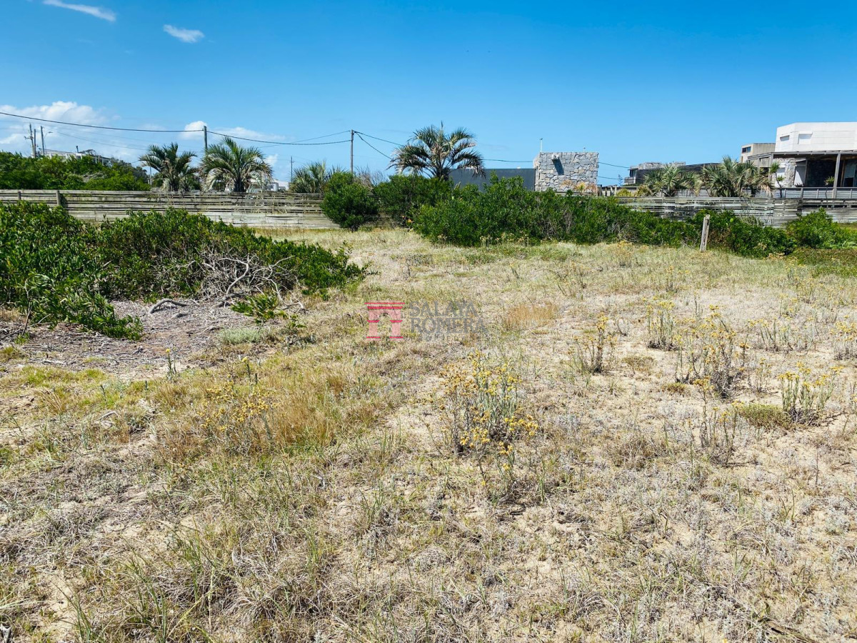 Santa Monica - GoPunta - Portal Inmobiliario de Punta del Este - Maldonado