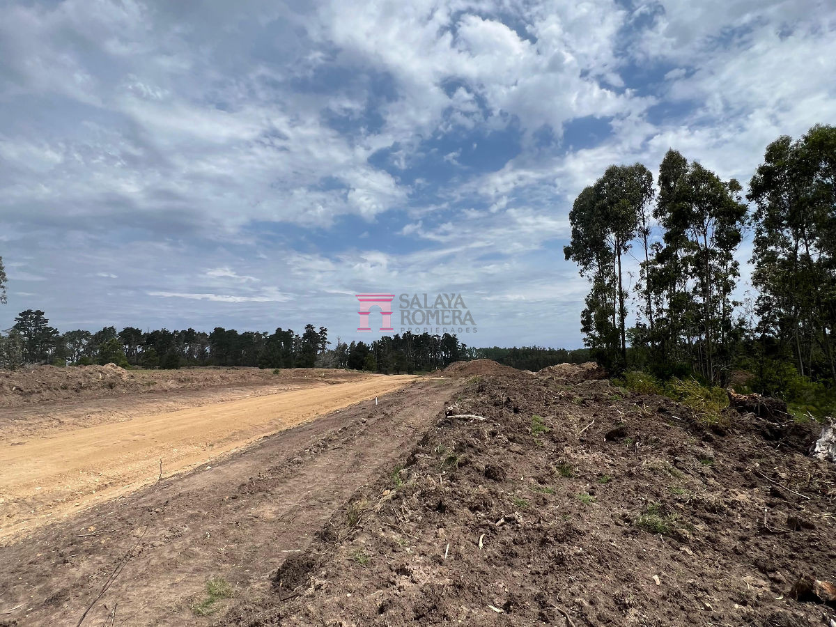 La Barra - GoPunta - Portal Inmobiliario de Punta del Este - Maldonado