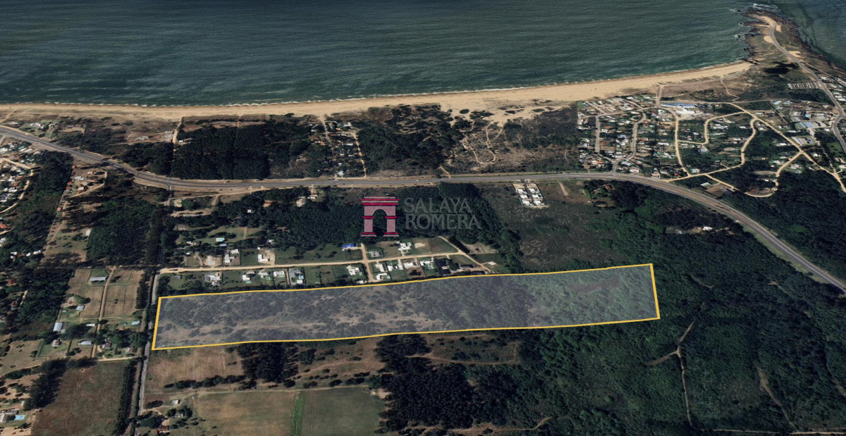 Mansa - GoPunta - Portal Inmobiliario de Punta del Este - Maldonado