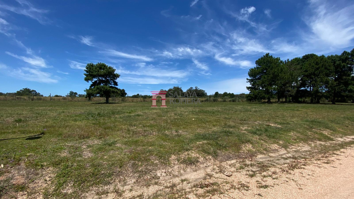 La Barra - GoPunta - Portal Inmobiliario de Punta del Este - Maldonado