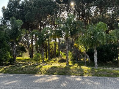 Terreno en  Laguna Escondida Jose Ignacio
