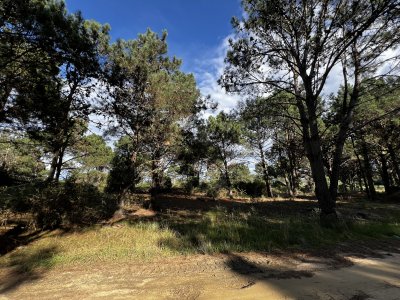 Terreno en Barrio Privado Laguna Escondida Jose Ignacio