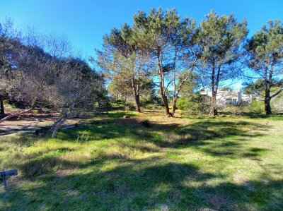 Venta Terreno - Laguna escondida - Jose Ignacio- REF:3831909