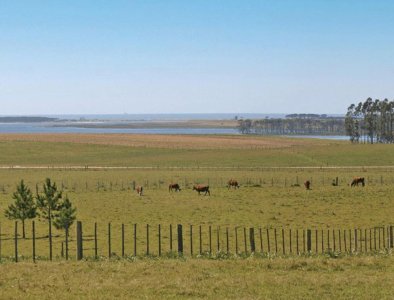 Venta Chacra marítima, Altos Jose Ignacio