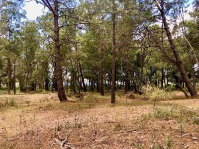 VENTA: LOTE EN  RESERVA DE MONTOYA