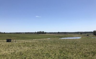 VENTA - Chacra en ruta 104 Maldonado Uruguay SLA5836311
