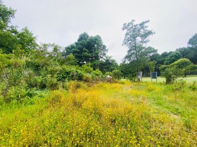 Terreno en  el Barrio Golf de Punta del Este. 