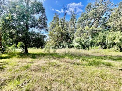 Terreno en venta en Punta Ballena 