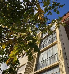 Apartamento De 2 Dormitorios En Aguada