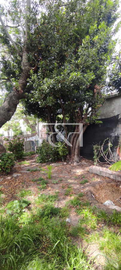 Casa ID.1282 - Venta Casa Terreno La Teja 