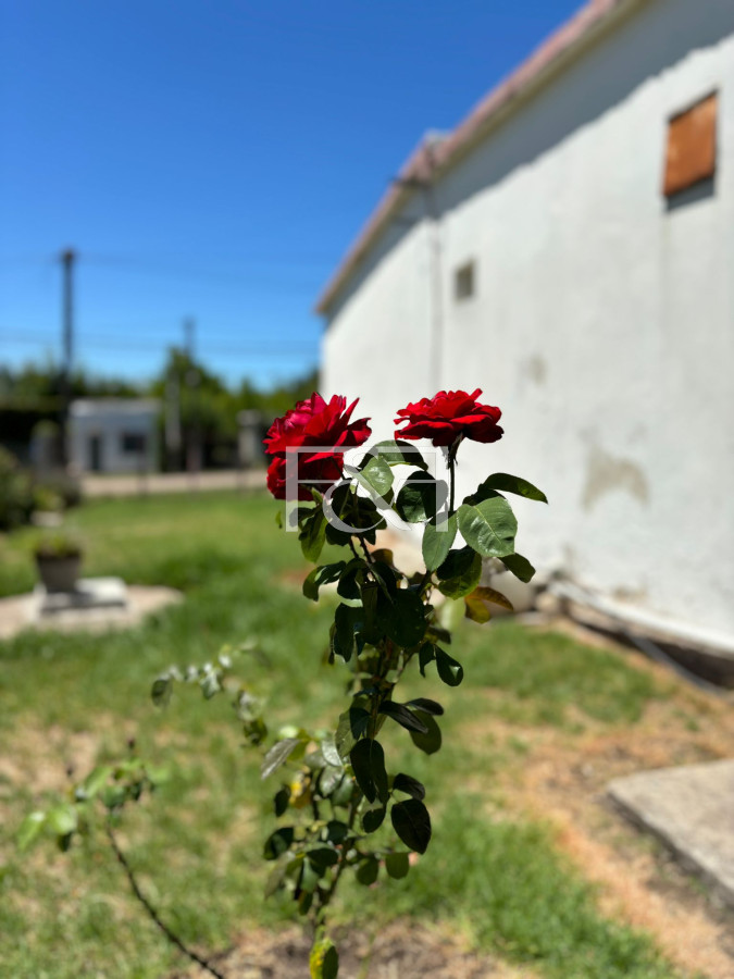 Casa ID.2664 - Venta Predio y Casa 2 dorm. + Jardín + Cochera + Fondo en Paso de la Arena