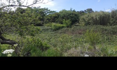 8500 Mt Sobre Camino Andaluz ,ideal Empresas! Cod112