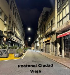 Venta Casa-Pensión 19 dormitorios. Ciudad Vieja. Oportunidad de Inversión