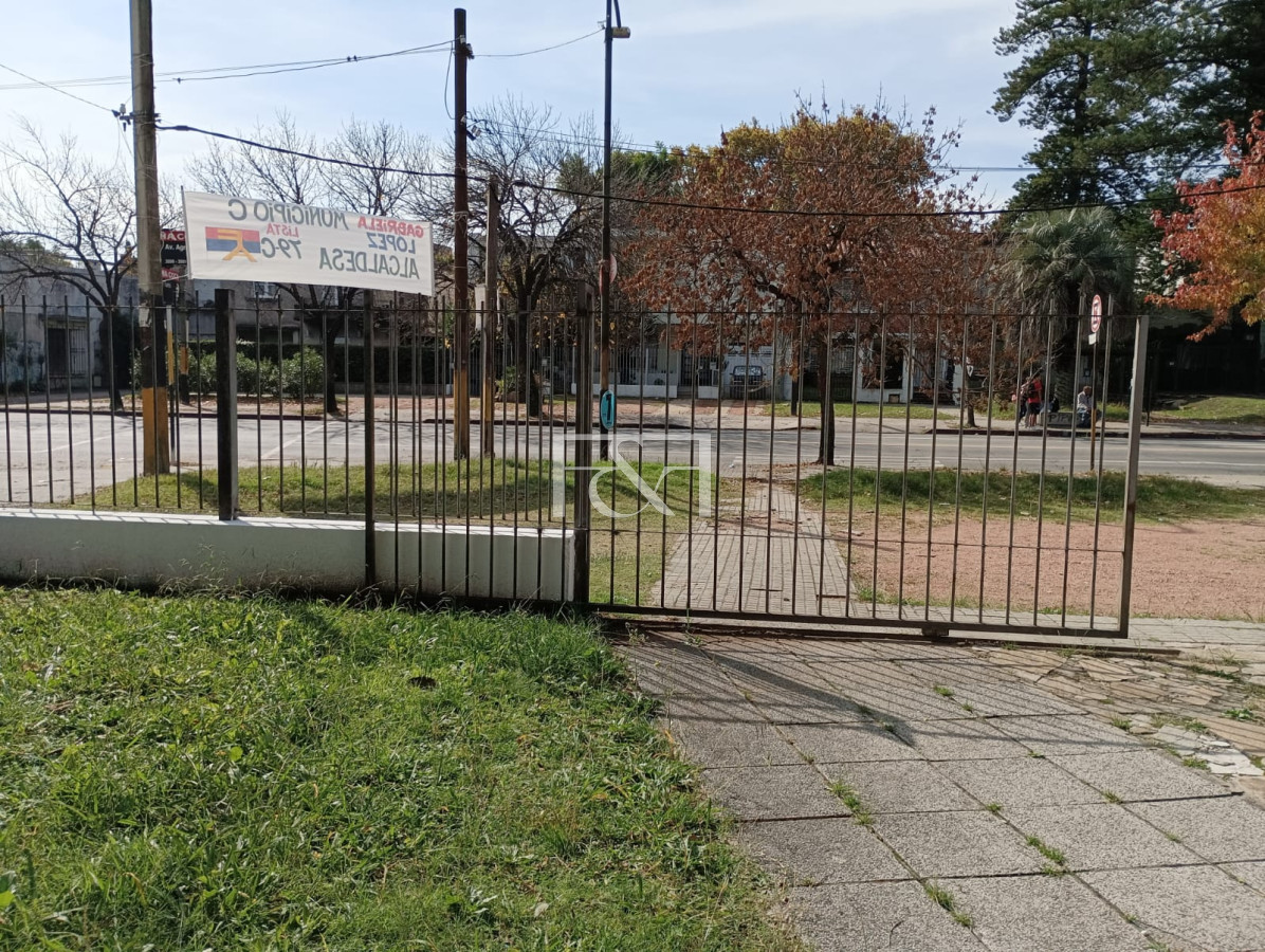 Local Comercial ID.2736 - Alquilo amplio local con vivienda sobre Avda Agraciada