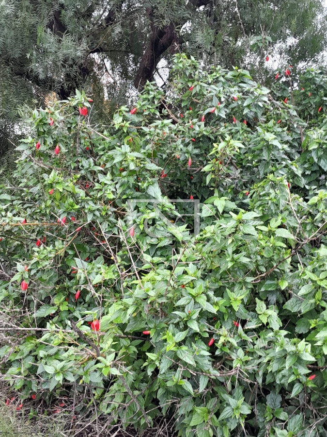 Terreno ID.2438 - Venta en Salinas Terreno