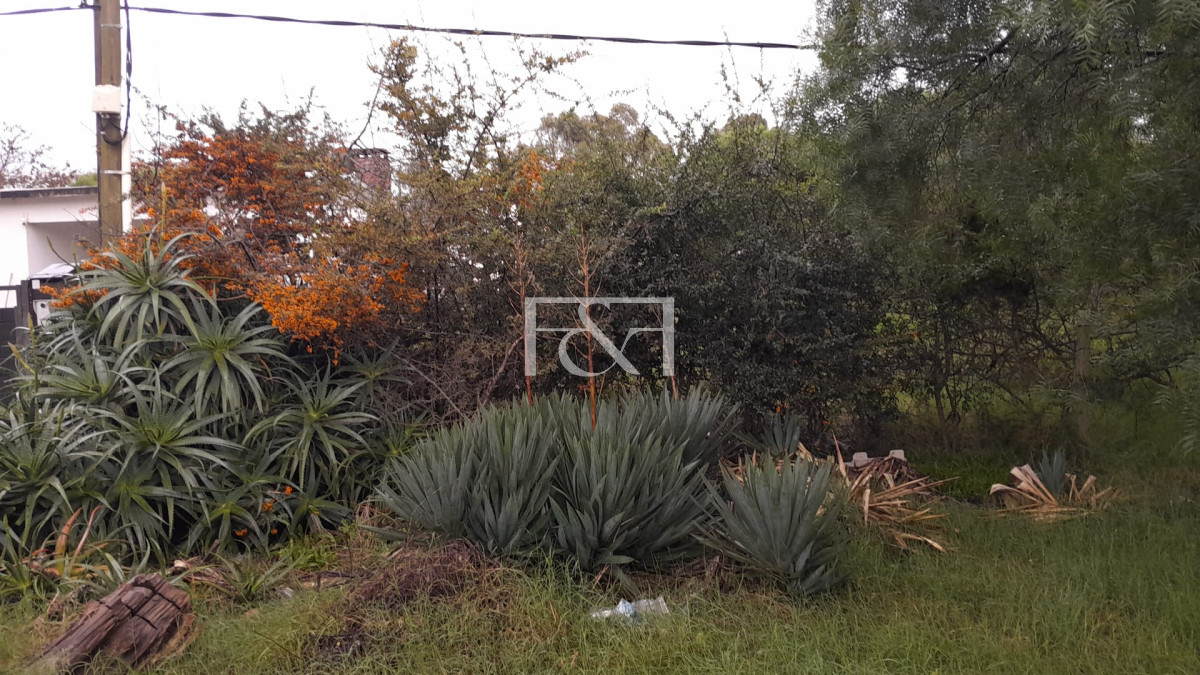 Terreno ID.2438 - Venta en Salinas Terreno