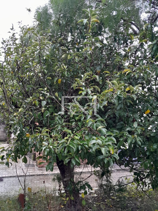 Terreno ID.2438 - Venta en Salinas Terreno