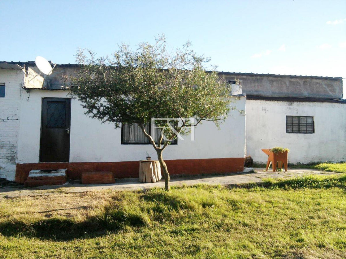 Terreno ID.1272 - Manga, Campo con chacra