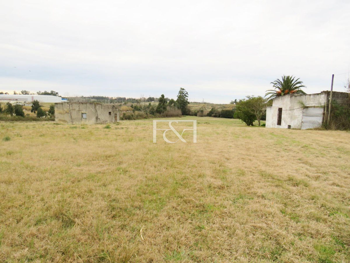 Terreno ID.1272 - Manga, Campo con chacra