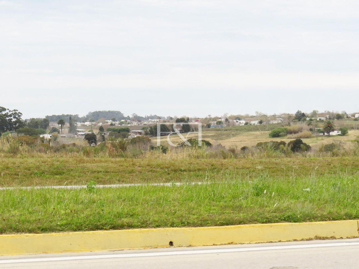 Terreno ID.1272 - Manga, Campo con chacra