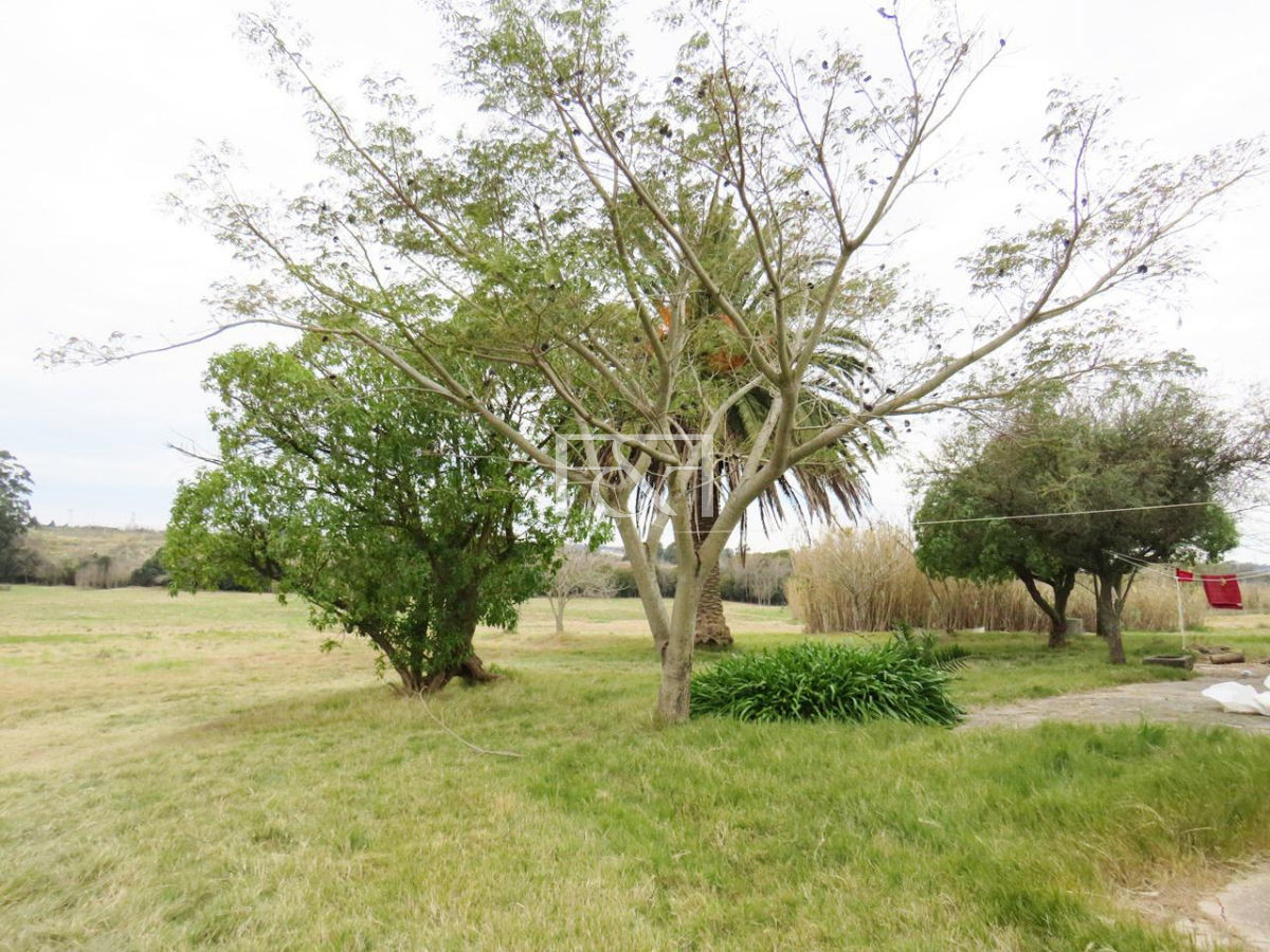 Terreno ID.1272 - Manga, Campo con chacra