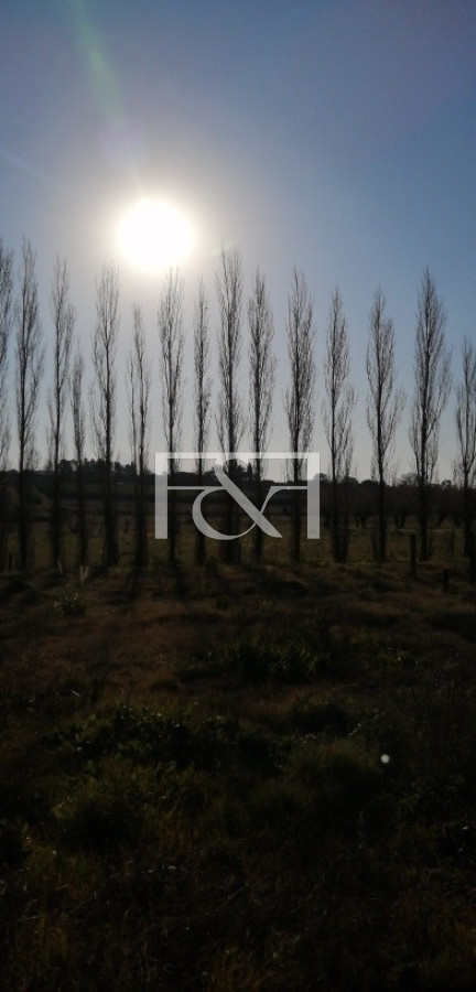 Terreno ID.89 - Espectacular Terreno En Polo Logistico