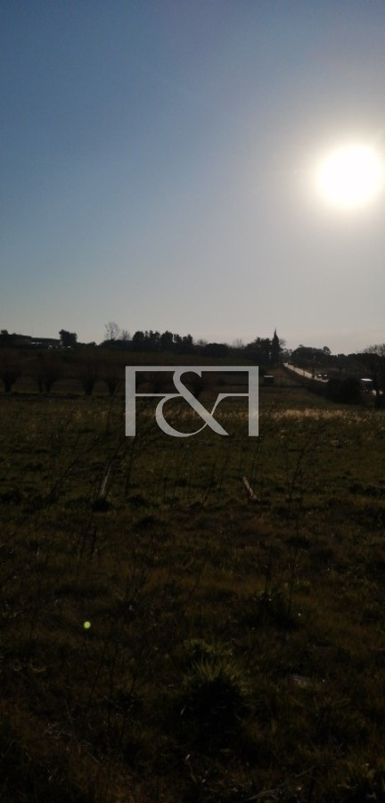 Terreno ID.89 - Espectacular Terreno En Polo Logistico