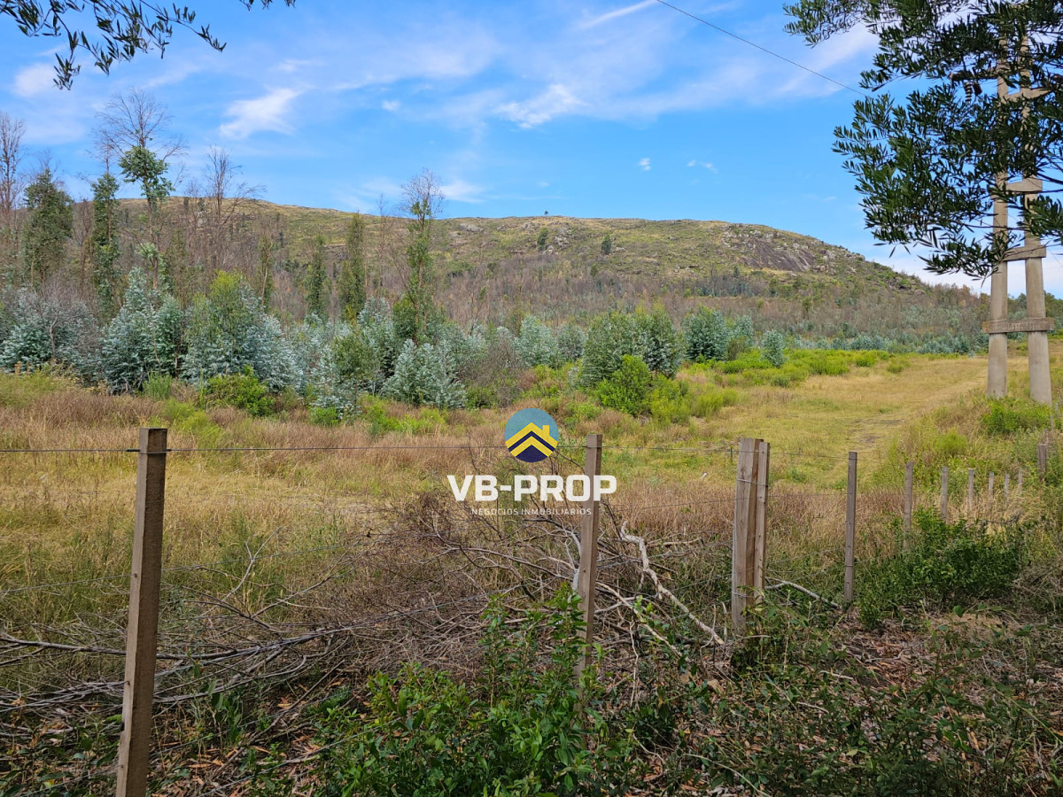 Casa ID.339 - Venta casa en gran terreno piriapolis cerro del toro 