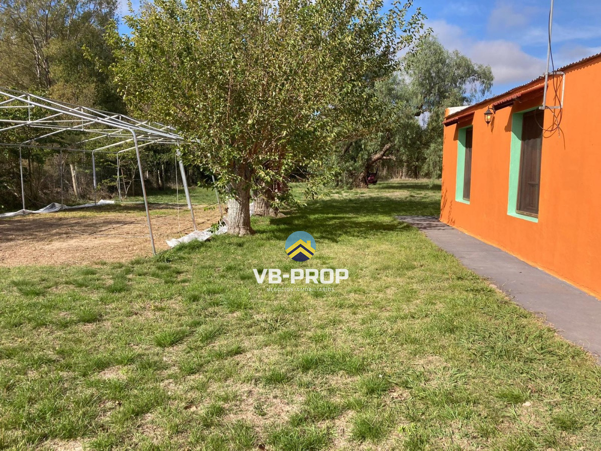 Chacra ID.260 - Venta chacra Colonia del Sacramento Riachuelo casa 